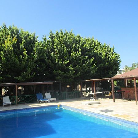 Klorakas Anastasia Holiday Apartments מראה חיצוני תמונה